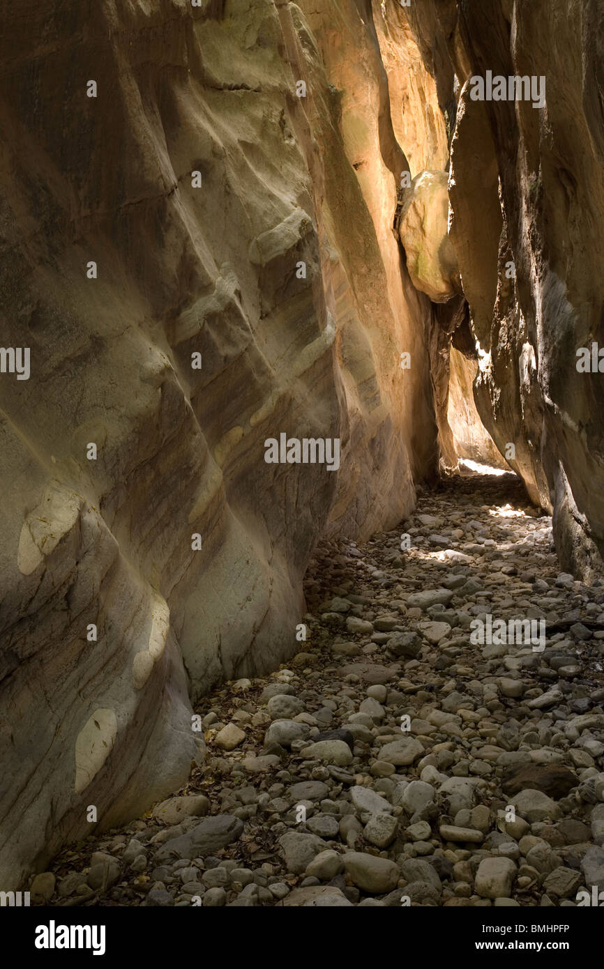 In the depths of the Rindomo Gorge of the Peloponnese of Greece Stock Photo