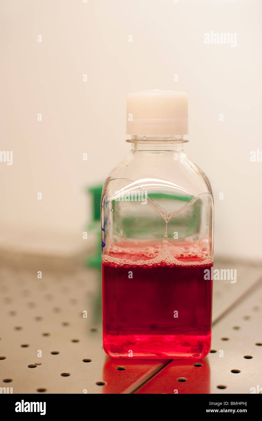 Bottle of red cell medium Stock Photo