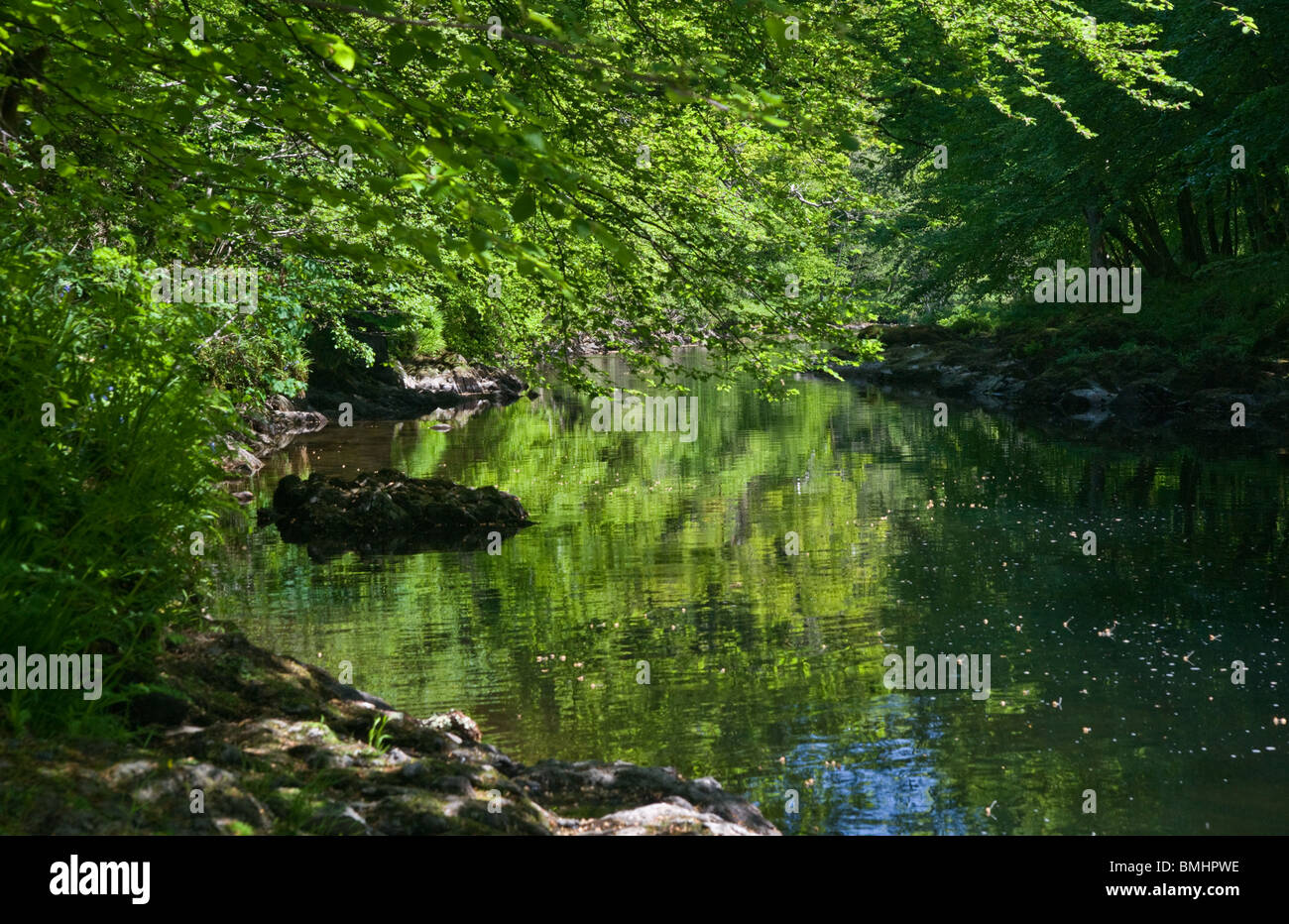 The River Dart, New Bridge, Devon Stock Photo Alamy
