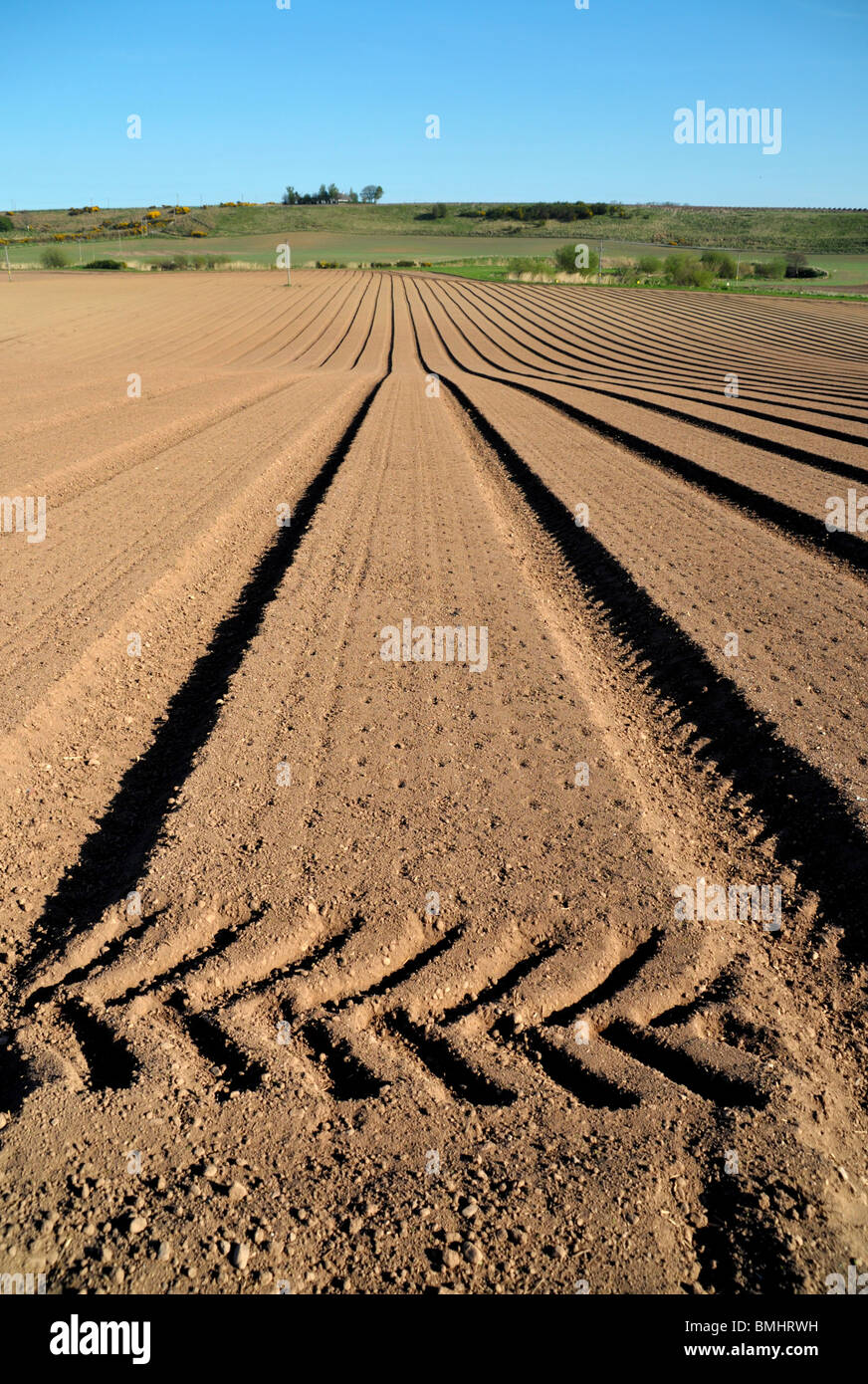 Fields of ploughed and drilled planted soil furrows with tractor tyre tread marks in the foreground. Stock Photo