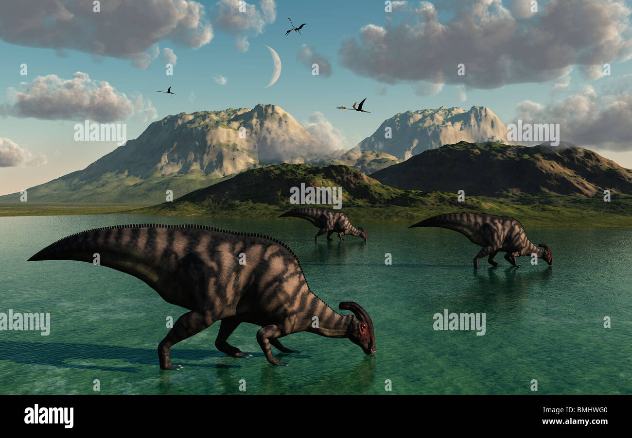 Duckbill Dinosaurs Feeding. Stock Photo