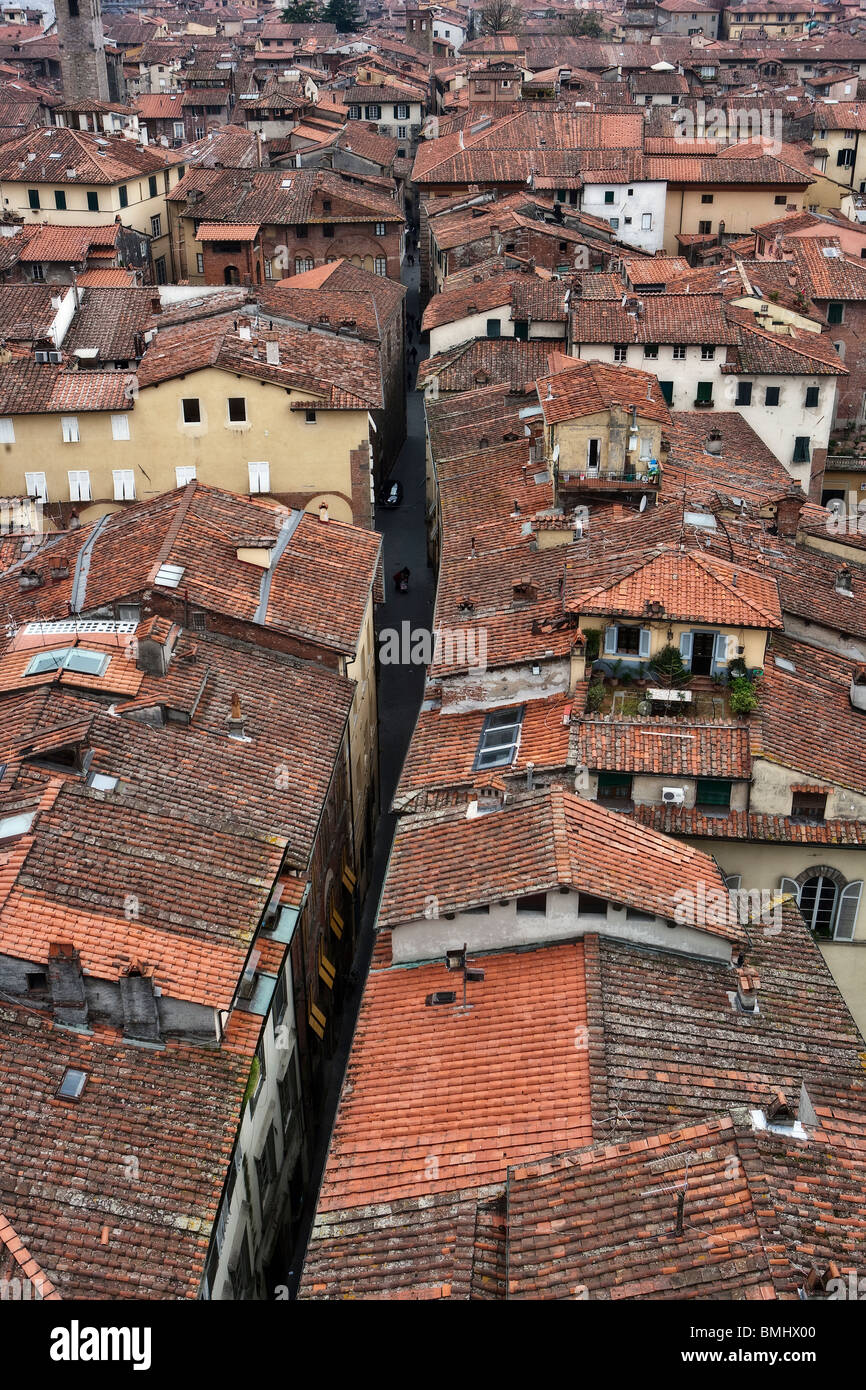 View of Lucca's roof tops, rooftops, Tuscany, Italy, Europe Stock Photo