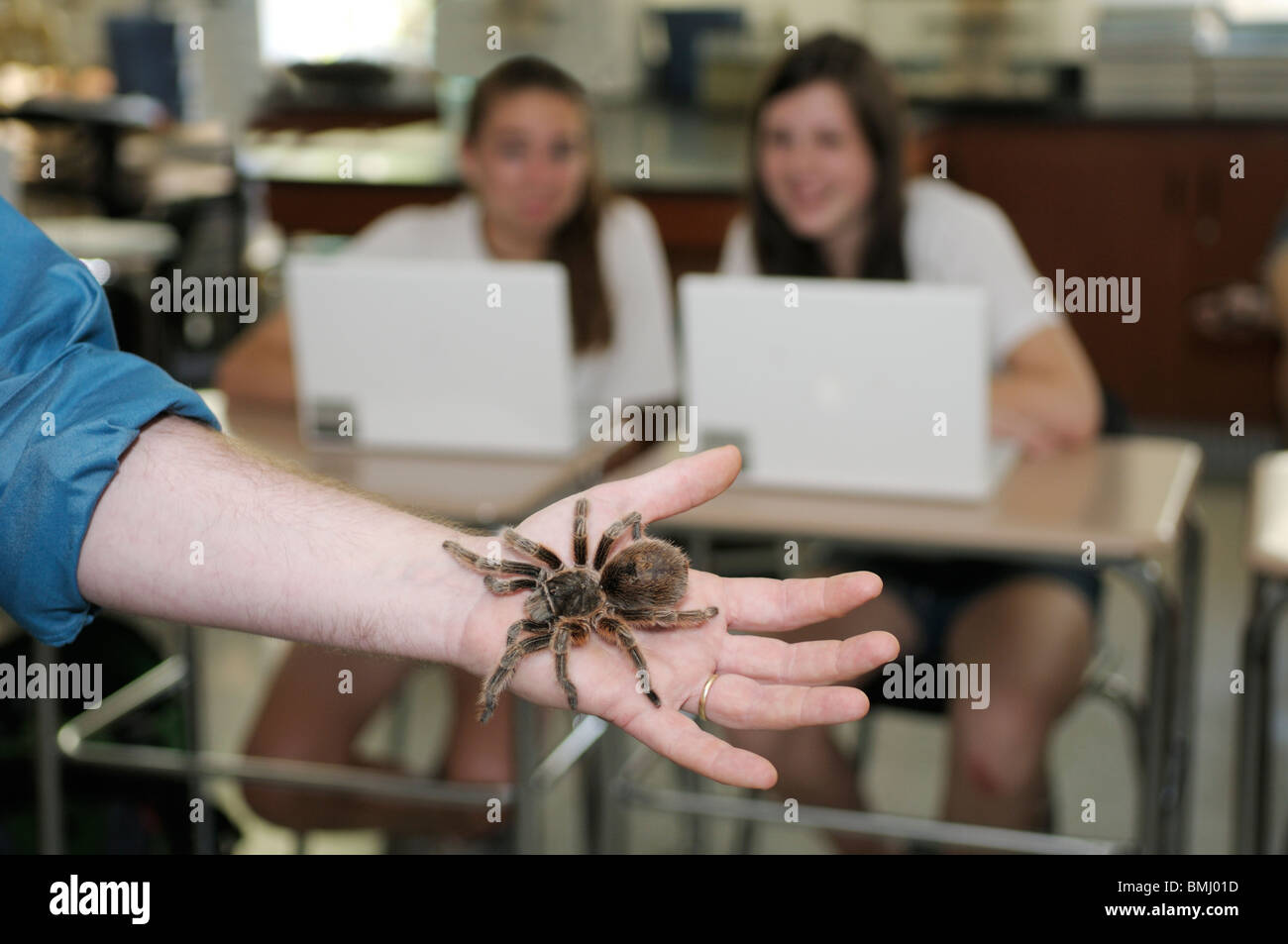 Teacher holding tarantula with students looking on Stock Photo