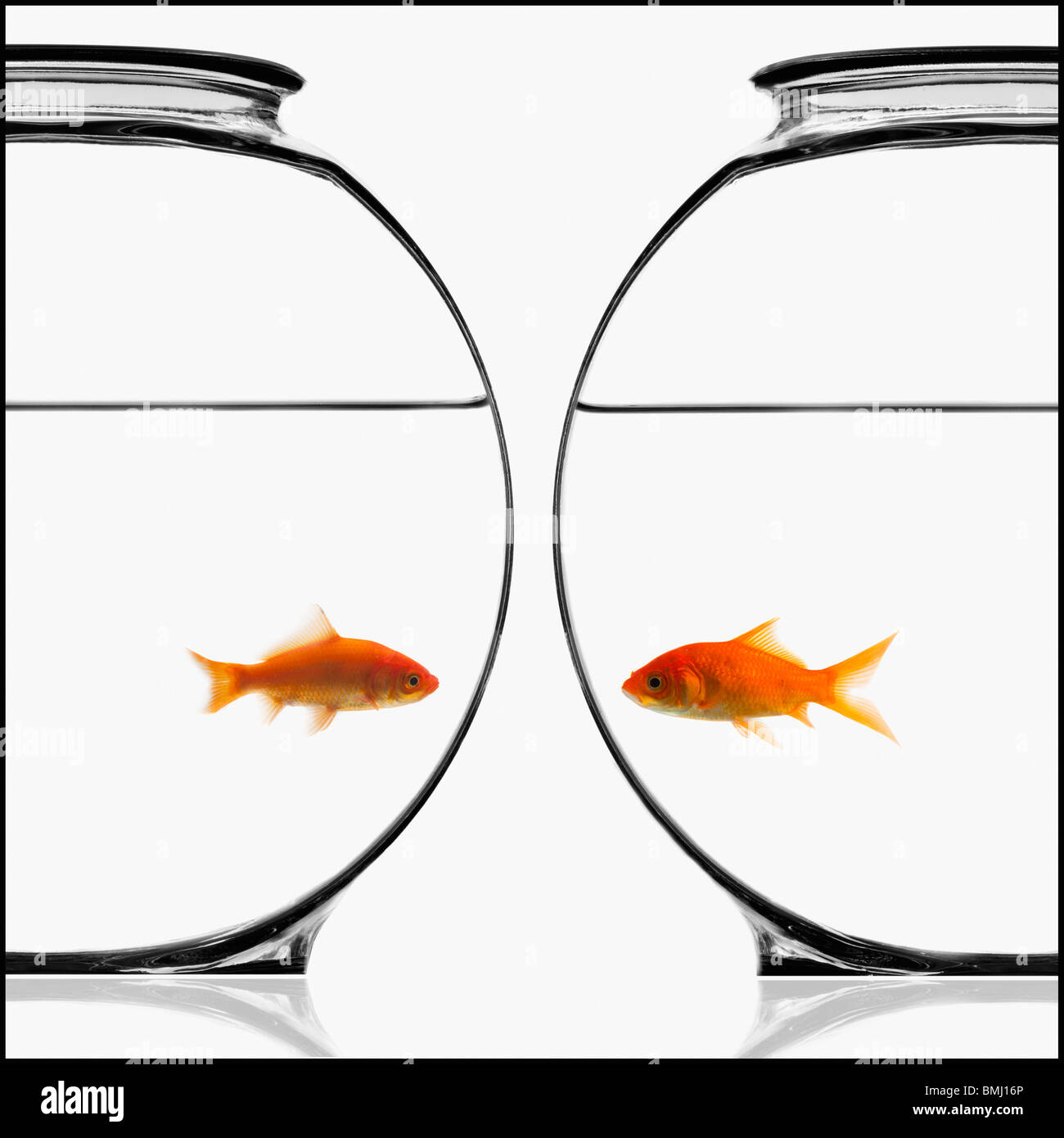 Two bowls of goldfish Stock Photo