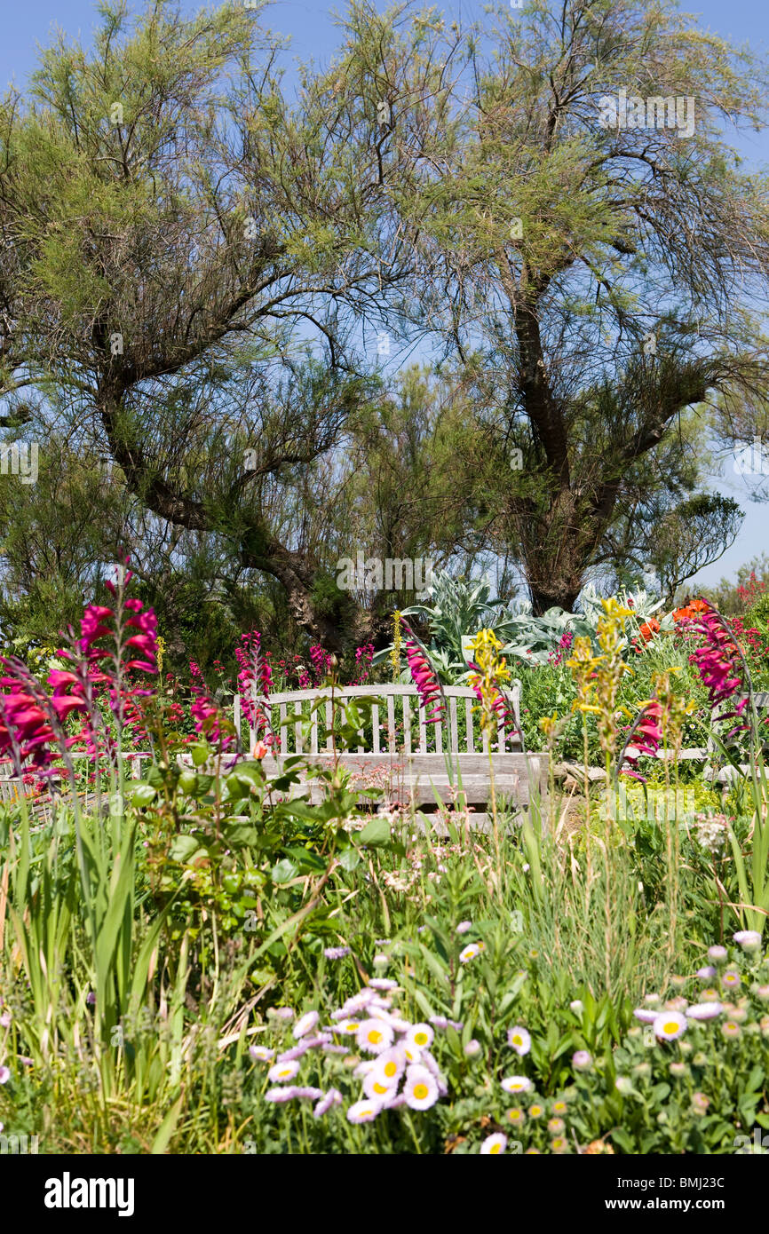 English country garden in summertime Stock Photo - Alamy