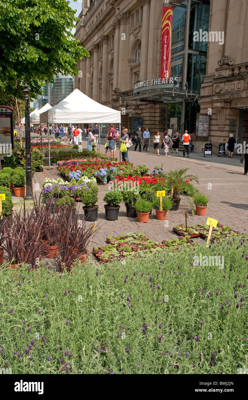 Shoppers manchester spring market st anns hi-res stock photography and ...
