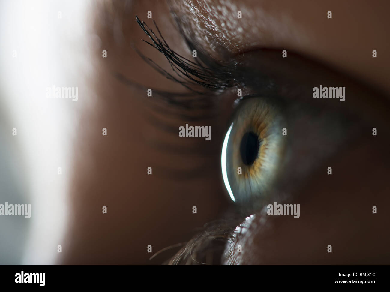 Woman's eye Stock Photo