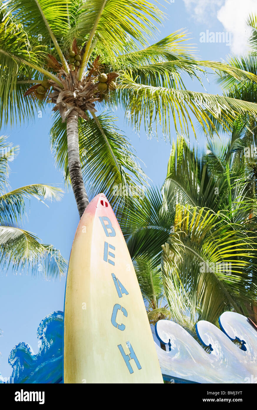 Surfboard and palm trees Stock Photo - Alamy