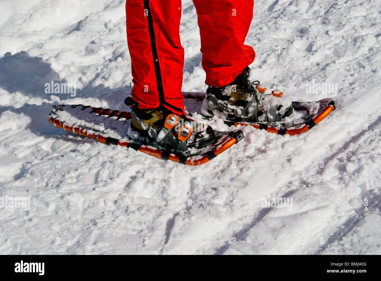 snowshoeing north lake tahoe