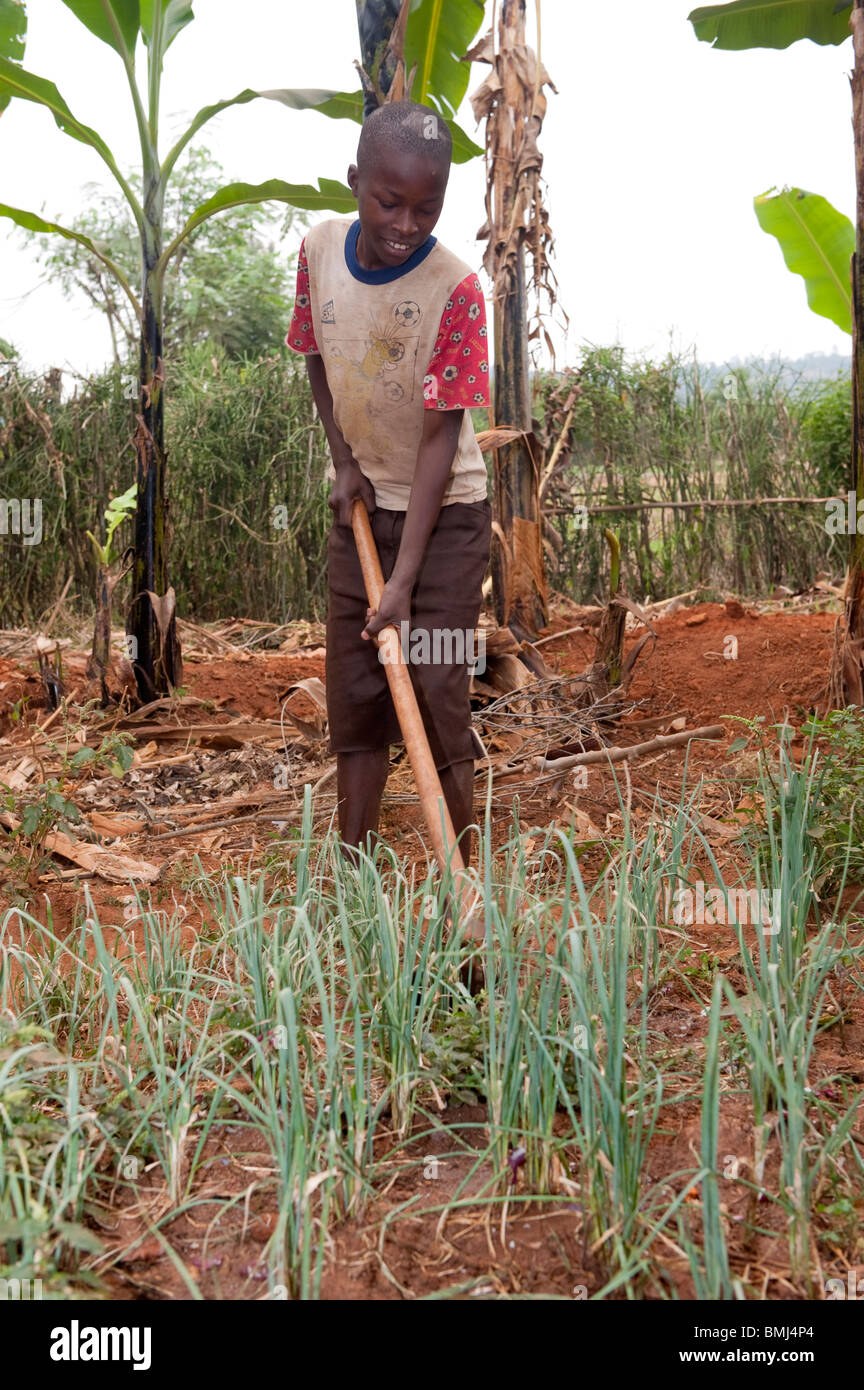 Hoe farming africa hi-res stock photography and images - Alamy