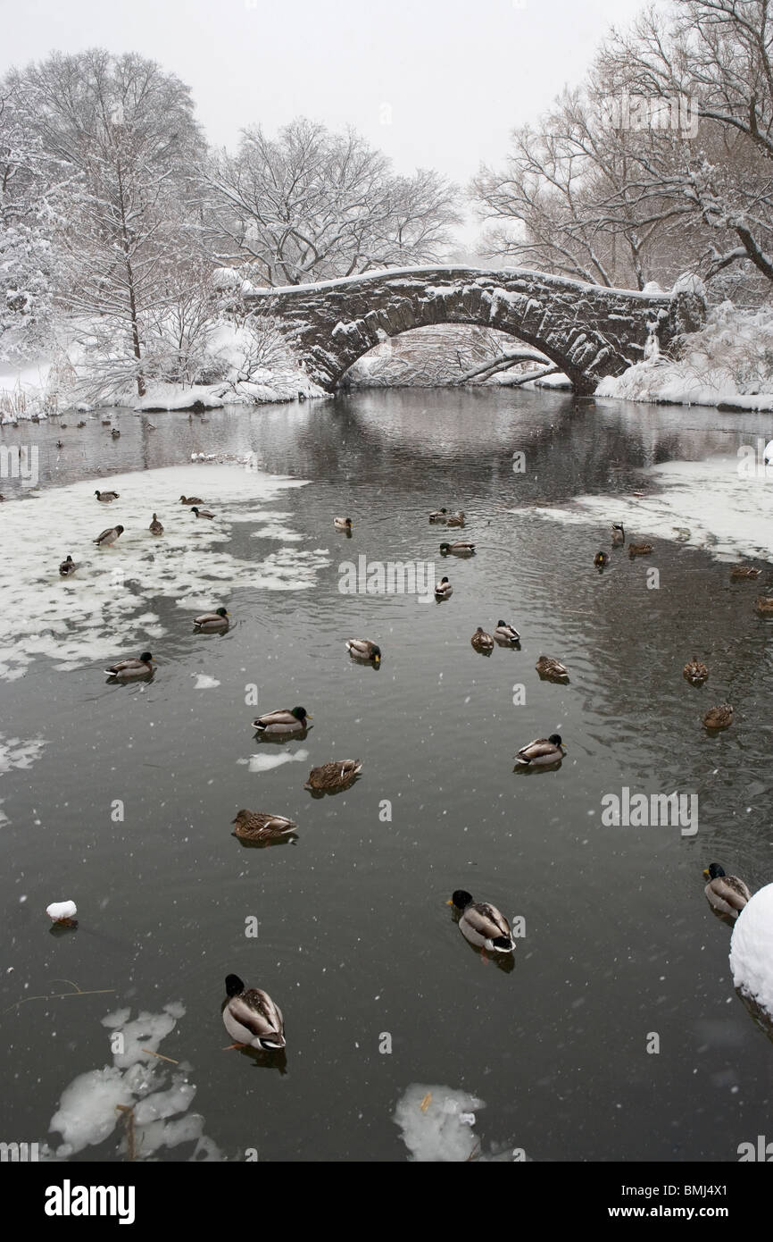 Central park new york winter hi-res stock photography and images - Alamy