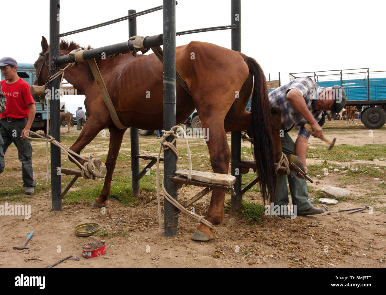 Farrier horseshoes hires stock photography and images Alamy