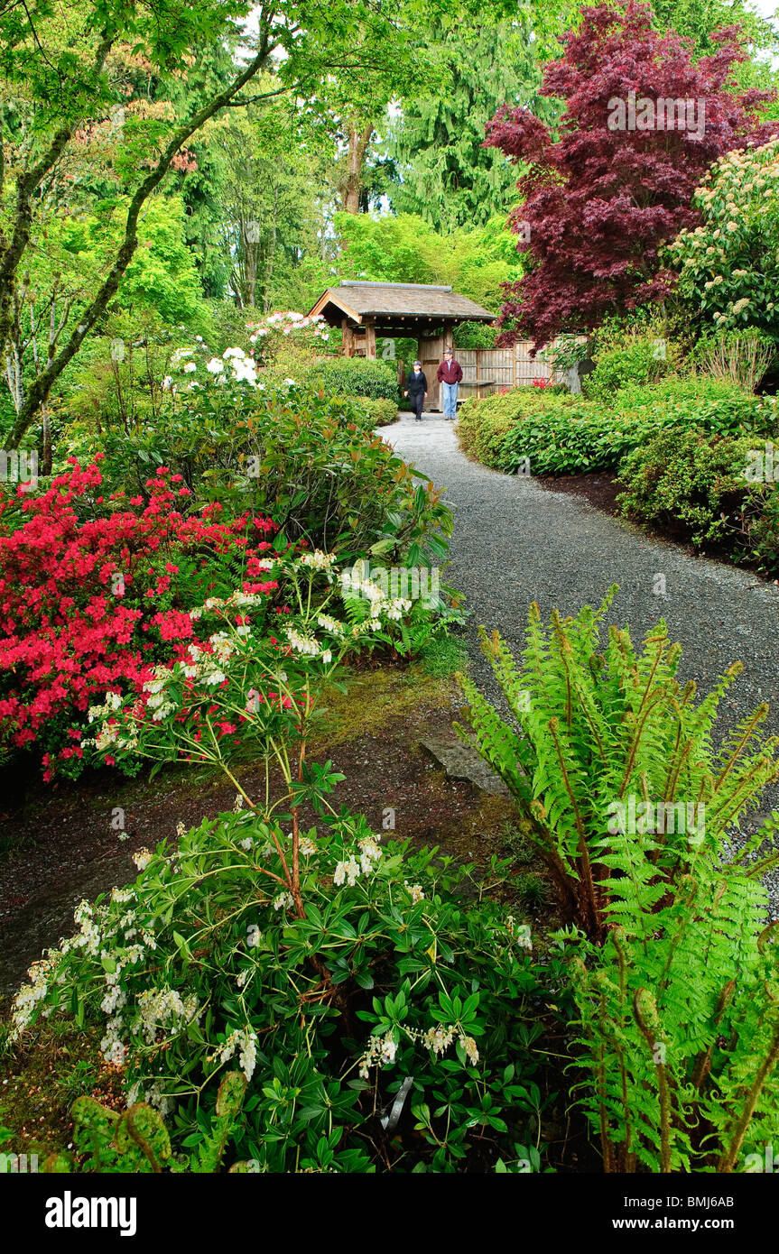 Couple on path at Yao Japanese Garden at Bellevue Botanical Gardens; Bellevue, Washington. Stock Photo