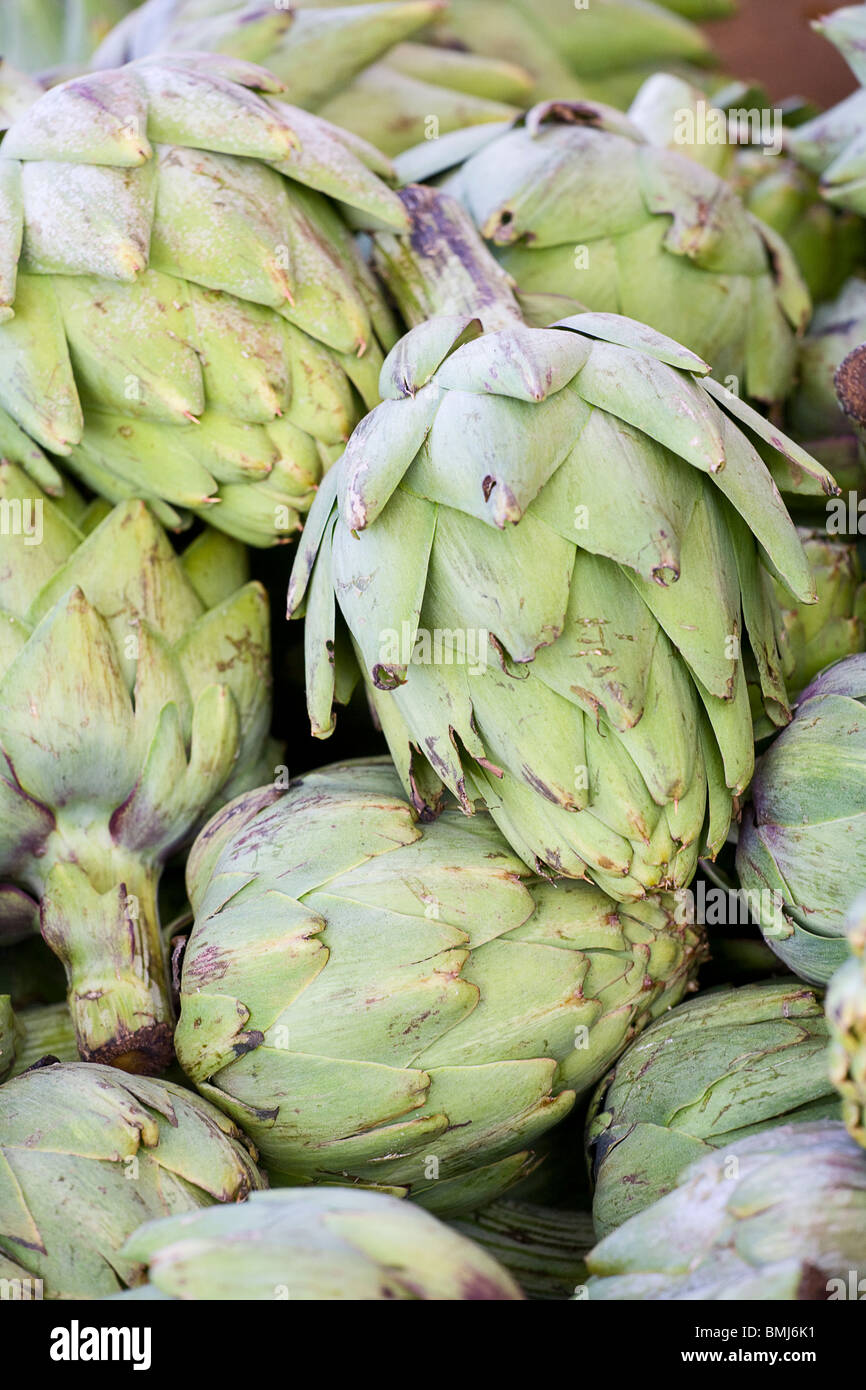 Green globe artichokes hires stock photography and images Alamy