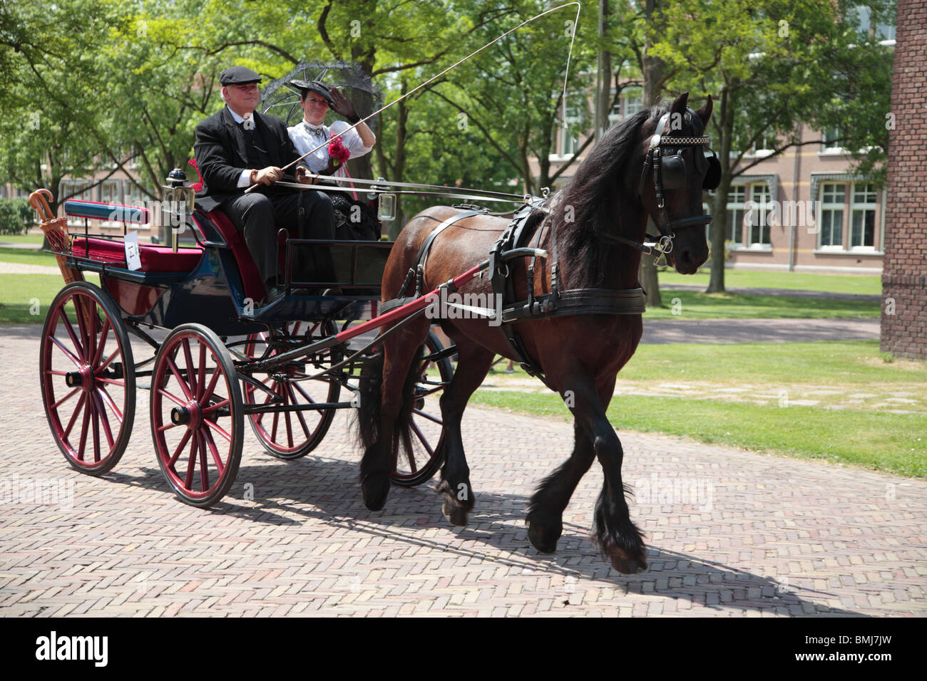 Horse Carriage Stock Photo