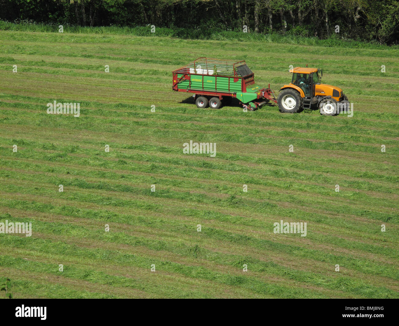 Agricultura cerca de Samos. Galicia. España. CAMINO DE SANTIAGO. Agriculture near Samos. Galicia. Spain. WAY OF ST JAMES. Stock Photo