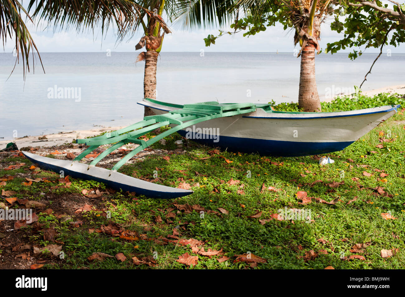 An outrigger canoe is pulled up on the grass under palm trees in Jabor
