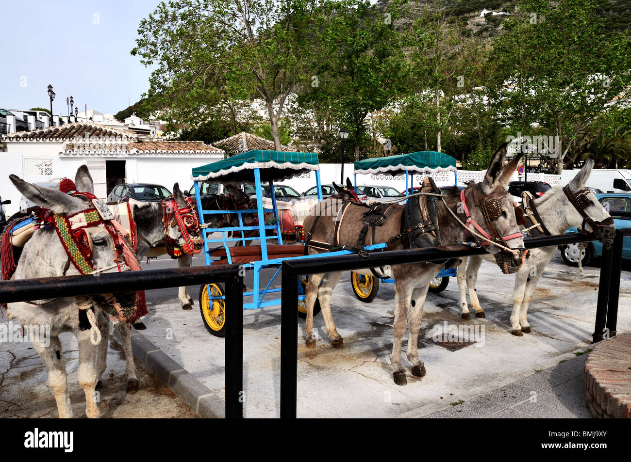 Donkeys, two with their carts attached, wait patiently at the purpose built donkey station in the white washed village of Mijas Stock Photo