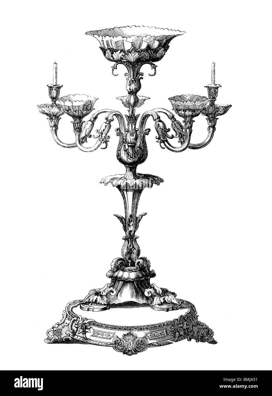 Exhibition plants Cut Out Stock Images & Pictures - Alamy