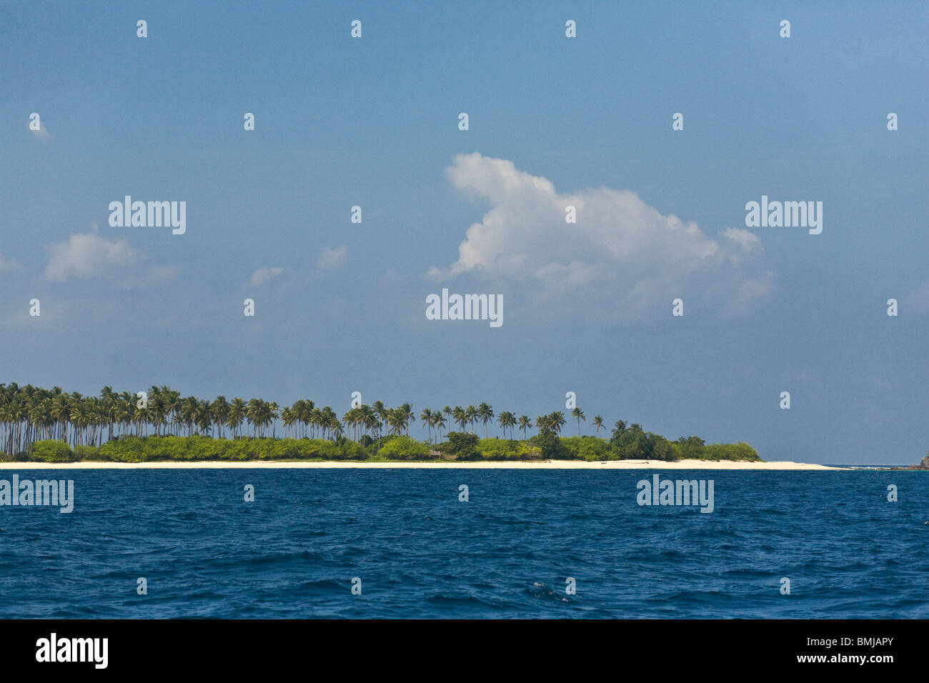 PALM TREES on a remote island in the CALAMIAN GROUP - PHILIPPINES Stock Photo