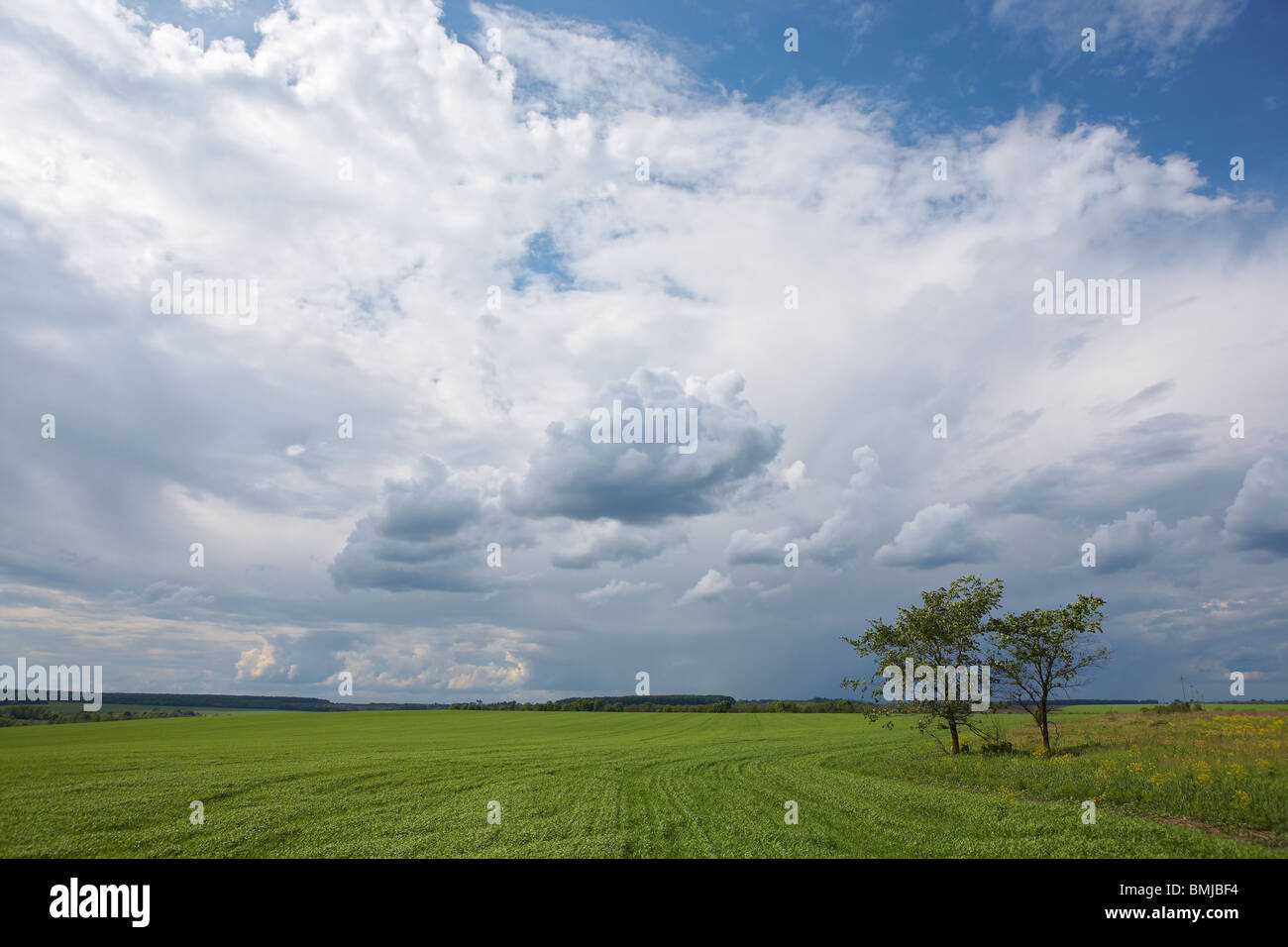 Blue sky green grass trees hi-res stock photography and images - Alamy