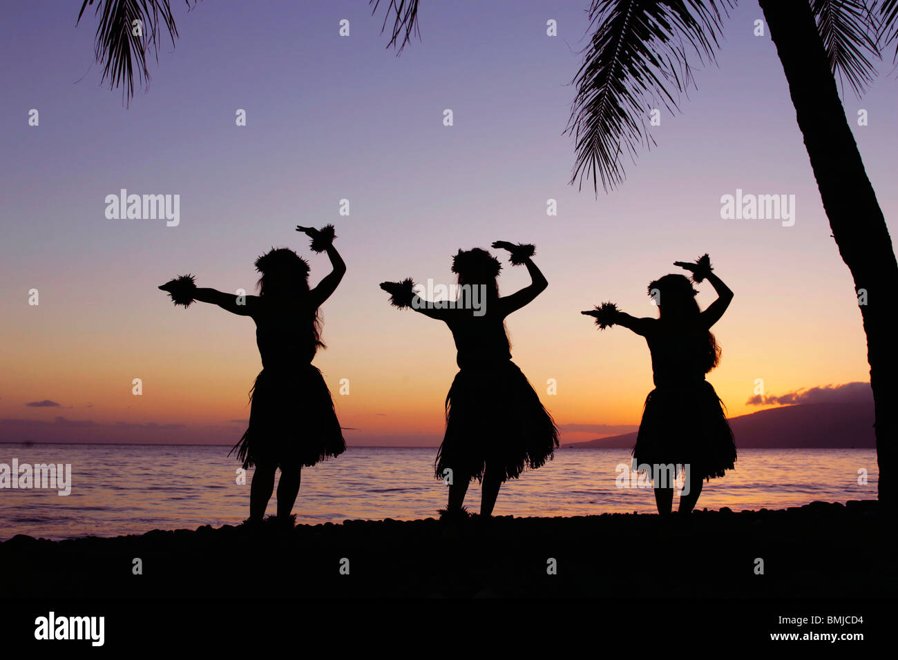 Three hula dancers perform at sunset framed by a palm tree at Olowalu, Maui, Hawaii, USA. Stock Photo