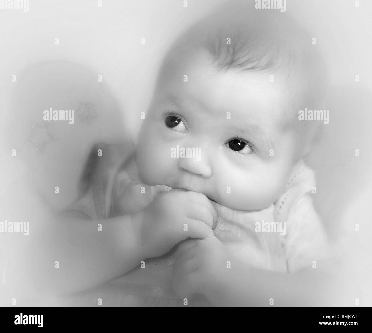 infant-baby-angel-wings-black-and-white-stock-photos-images-alamy
