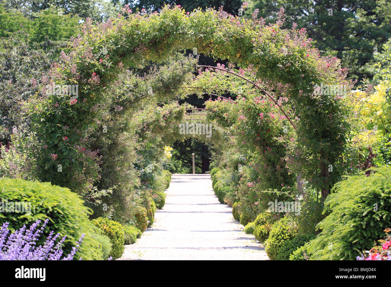 Details about   Rose Arch New York B 1,40 M Lily Lace Garden Arch Trellis Rose Archway show original title 