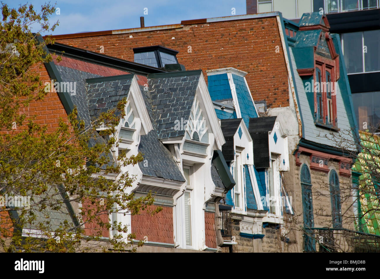 Typical rooftops Plateau Mont Royal Montreal Stock Photo Alamy