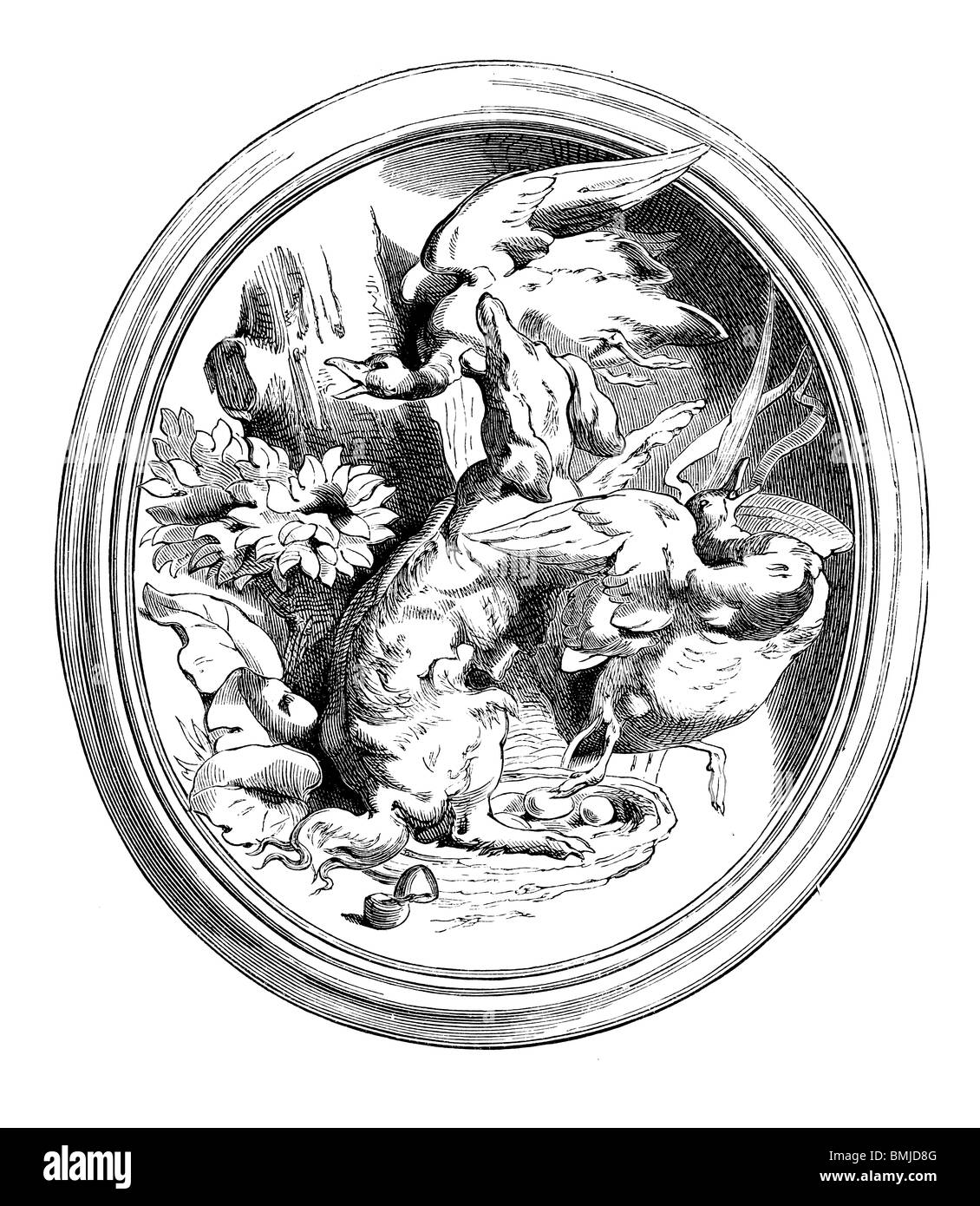 Hunting Dog - Vintage Engraved Illustration 1889 Stock Photo - Alamy