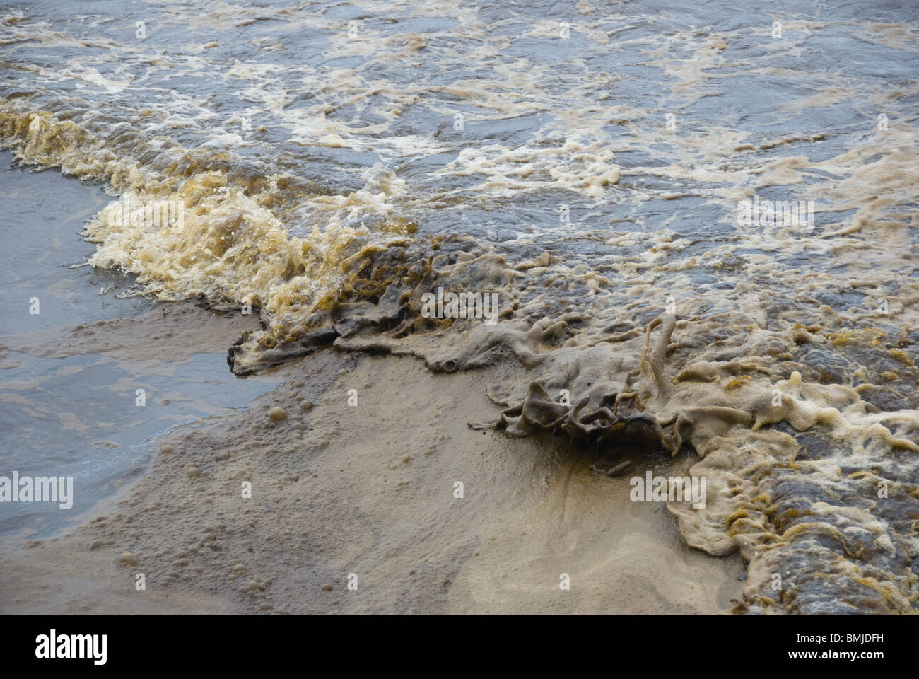 Oil mixes with sand and water causing unknown environmental damage. Stock Photo