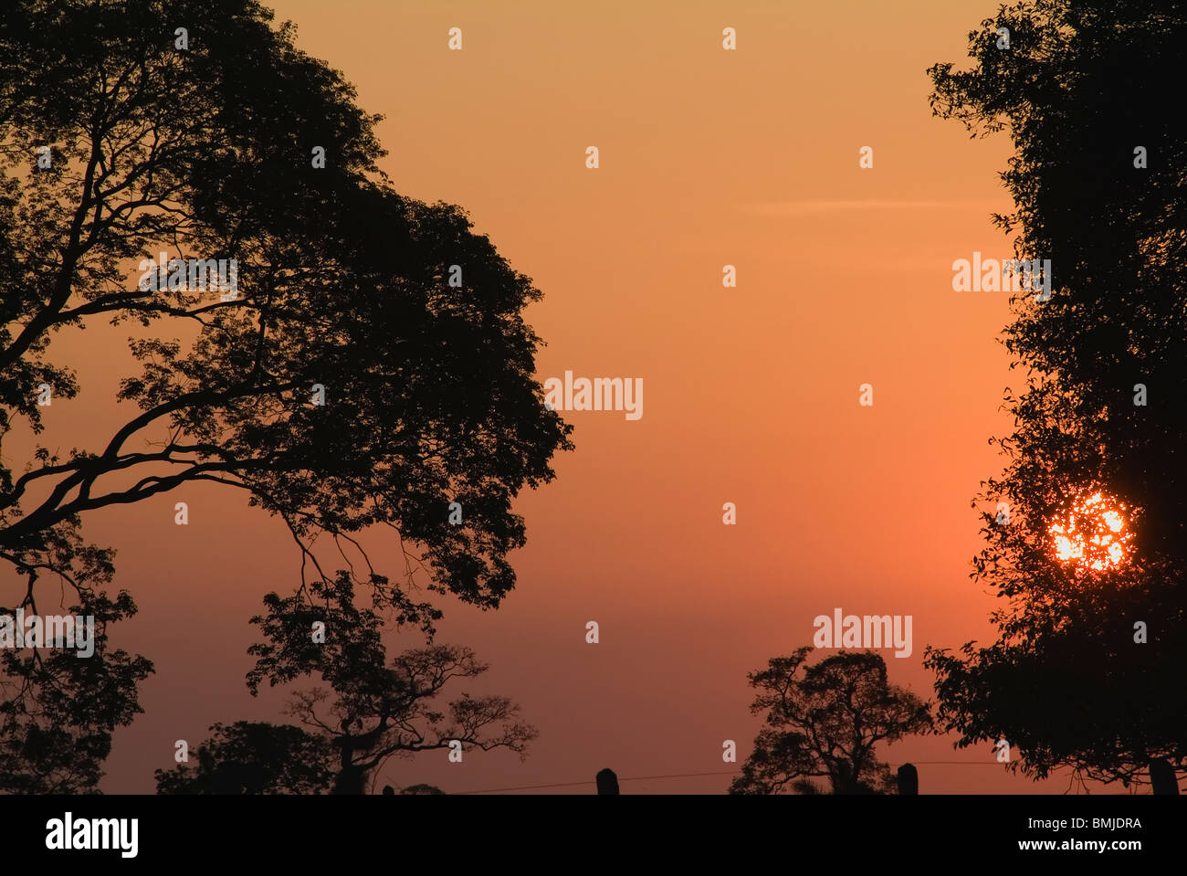 Fazenda Pouso Alegre, Farm, Sunset, Pantanal, Brazil Stock Photo Alamy