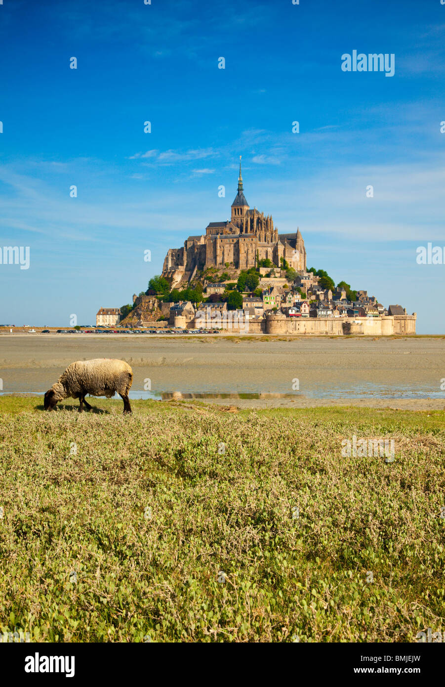 famous Mont St. Michel, Normandy, France, at ebb tide sheep in foreground Stock Photo