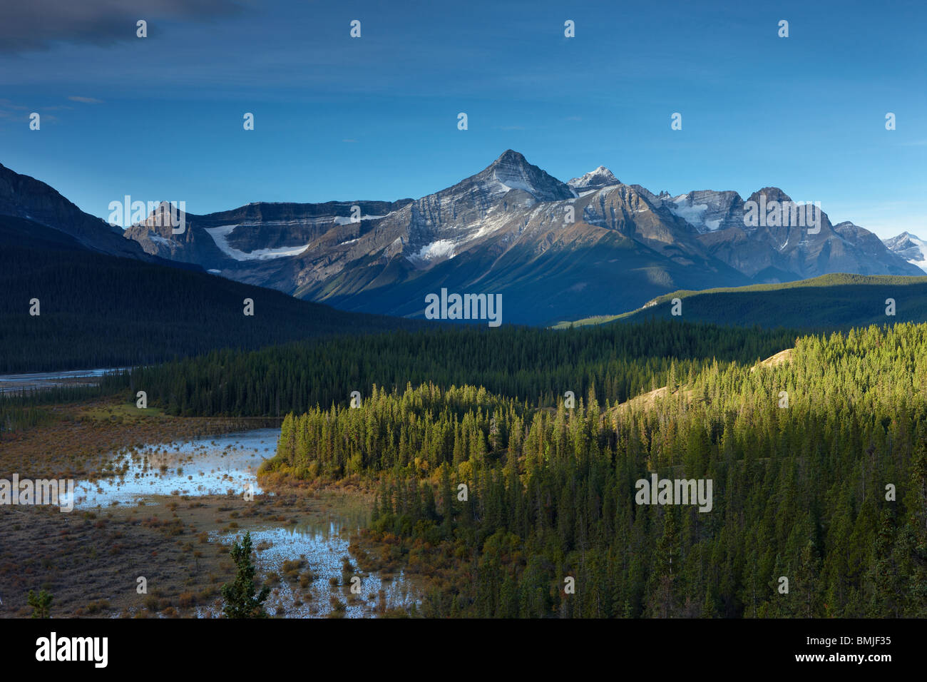 the Howse River and Mount Forbes, Saskatchewan Crossing, Banff National Park, Alberta, Canada Stock Photo