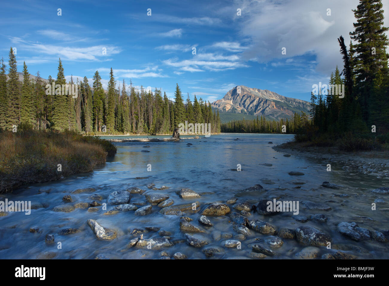 the Athabasca River at Otto's Cache, Jasper National Park, Alberta, Canada Stock Photo