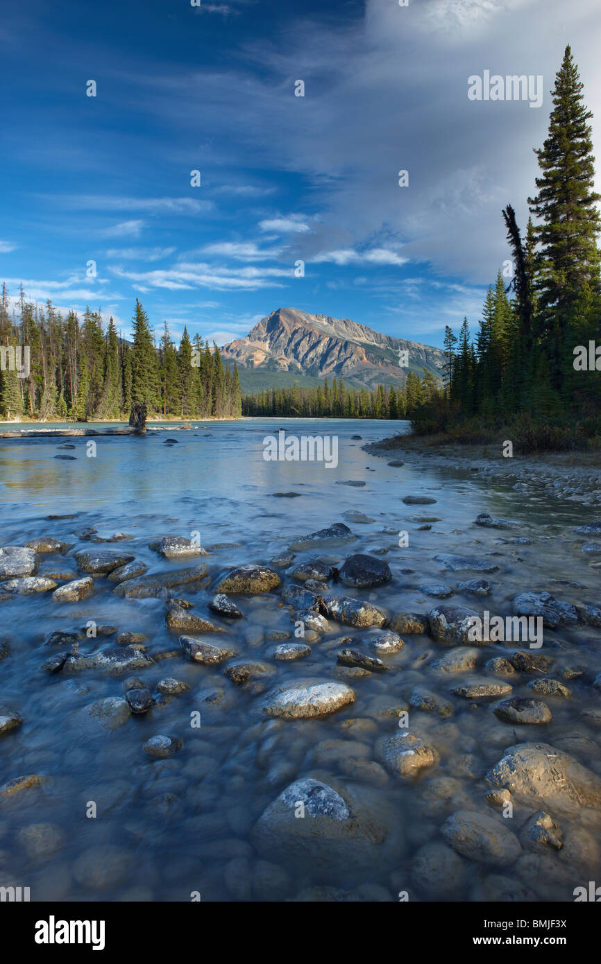 the Athabasca River at the Meeting of the Waters, Jasper National Park, Alberta, Canada Stock Photo