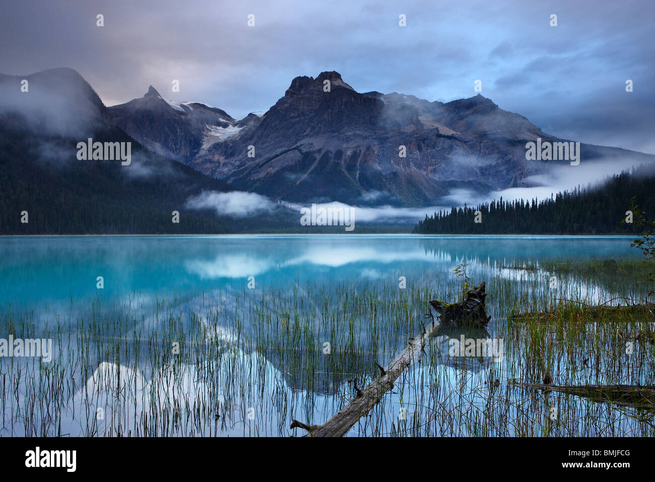 Emerald Lake at dawn with the peaks of the President Range beyond, Yoho National Park, British Columbia, Canada Stock Photo