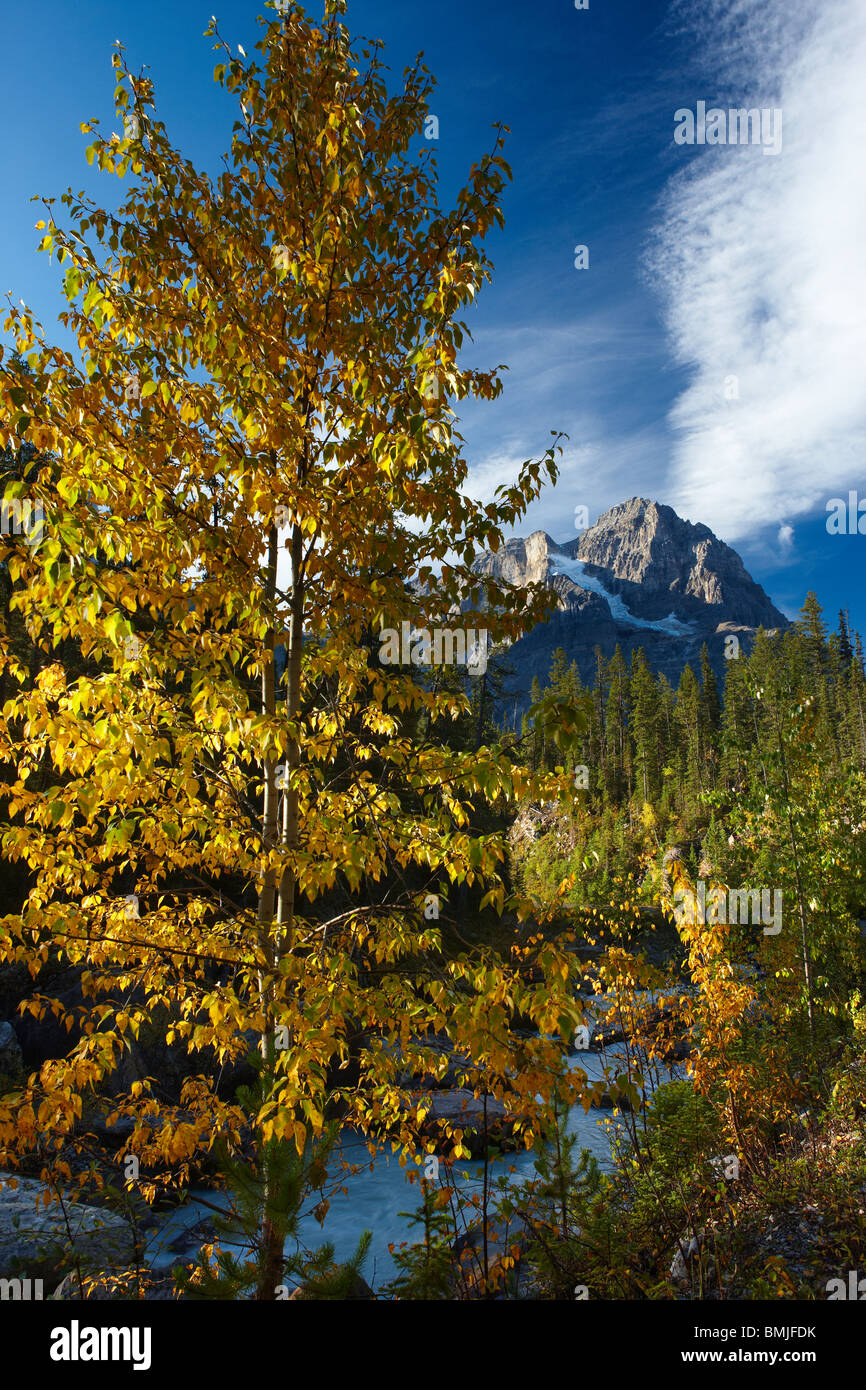 Yoho national park hi-res stock photography and images - Alamy