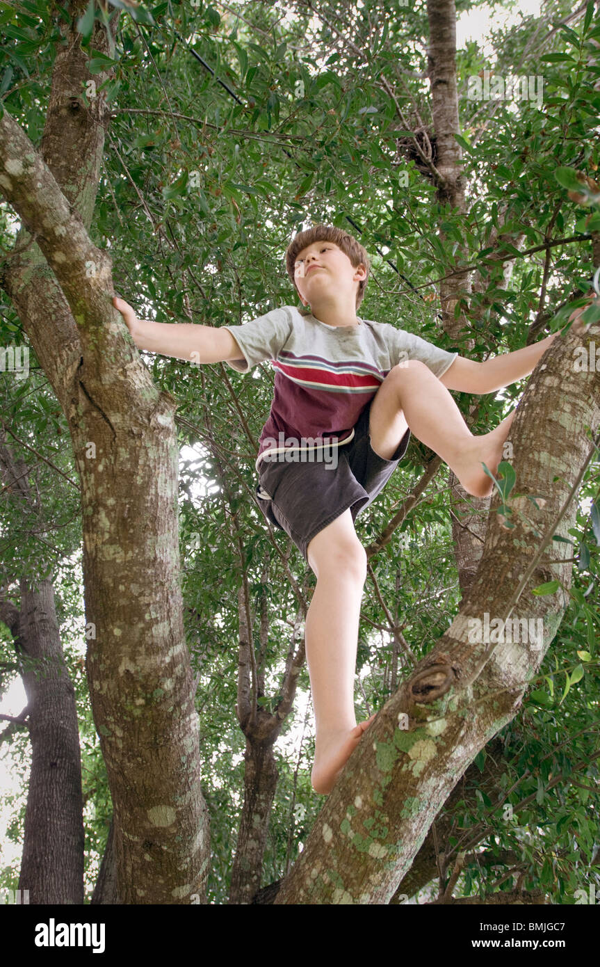 Barefoot Boy Climbing Tree