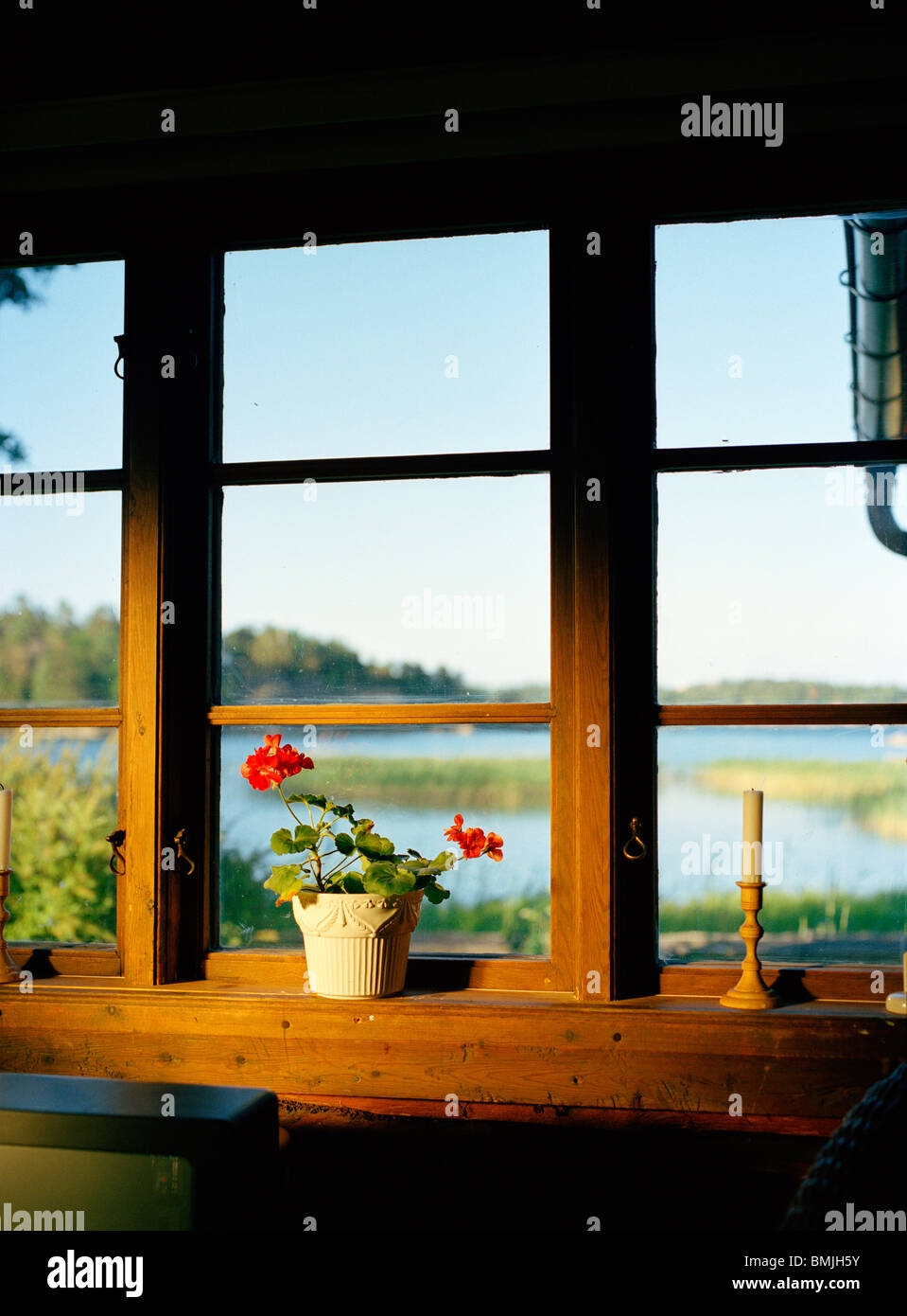 Pot plant on window sill Stock Photo Alamy