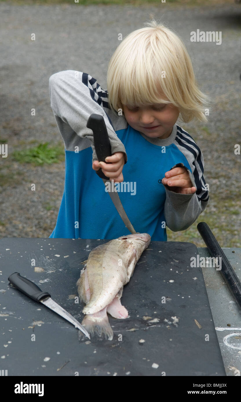 Wooden Cutting Board full of Fish Scales and Fish Fillet Preparations  cutting head of fish with Traditional Indigenous Same Knife after fishing  trip Stock Photo - Alamy