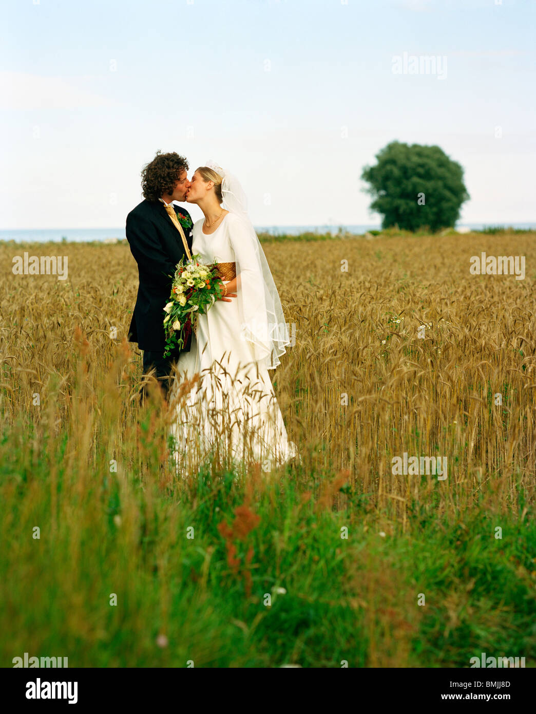 Scandinavia, Sweden, Oland, Bride and groom kissing in field Stock Photo