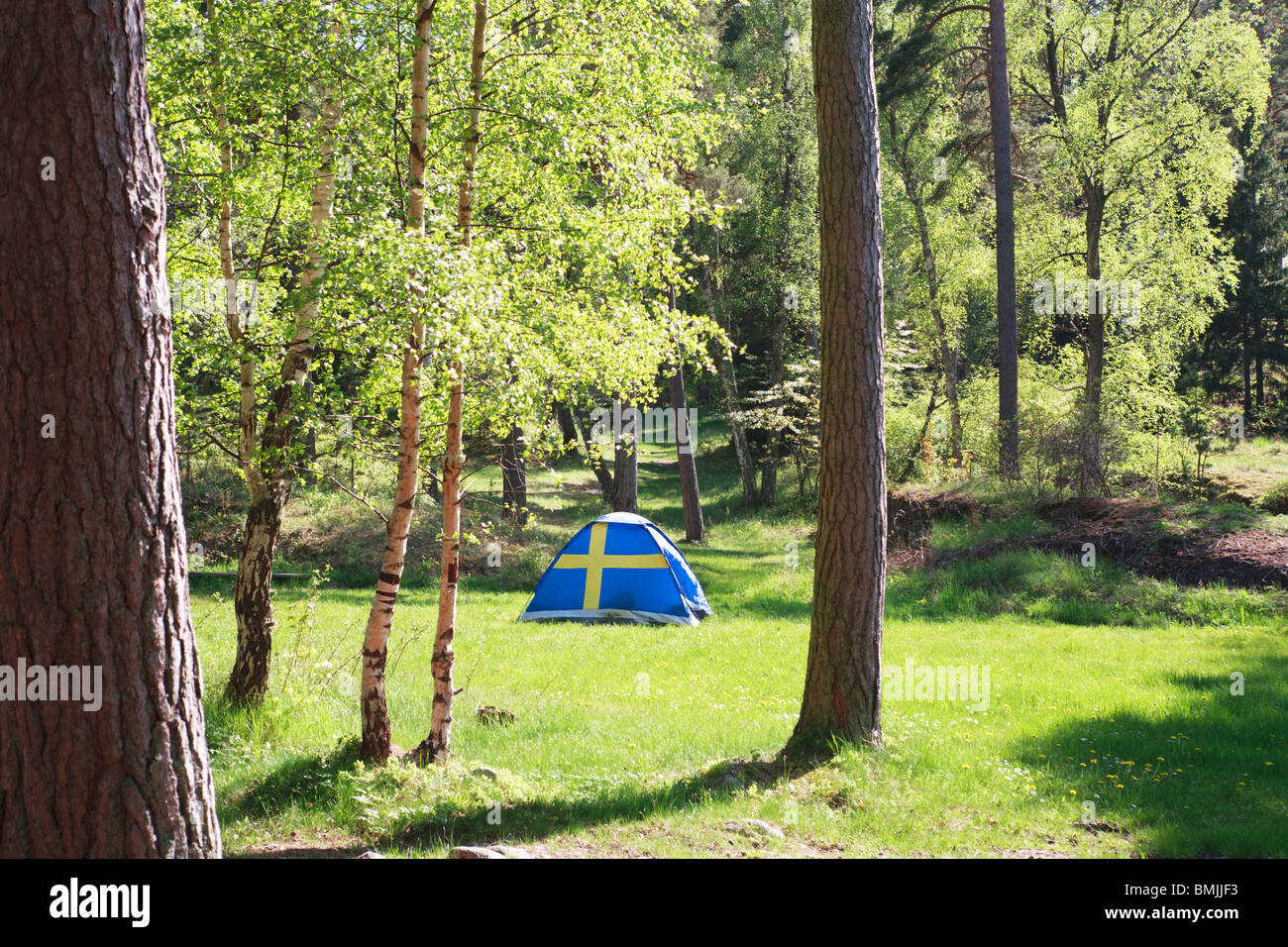 Scandinavia, Sweden, Stockholm, Camping tent in forest Stock Photo Alamy