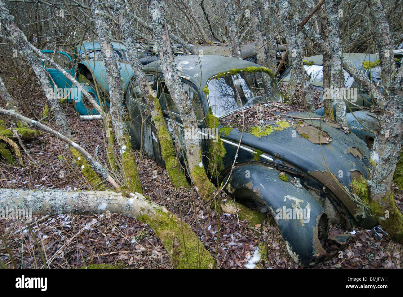 Abandoned vehicles woods hi-res stock photography and images - Alamy