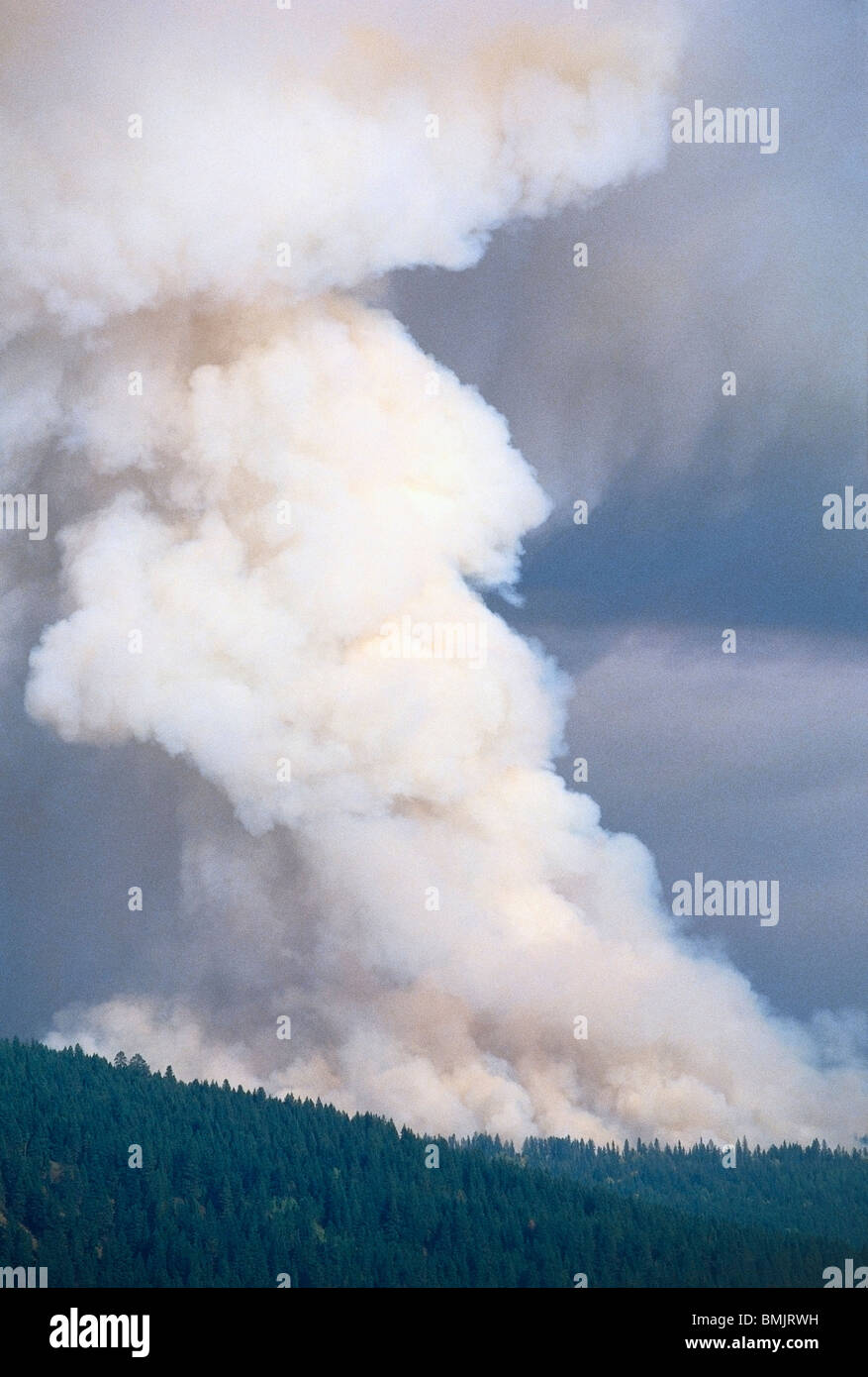 Canada fire fighter hi-res stock photography and images - Alamy