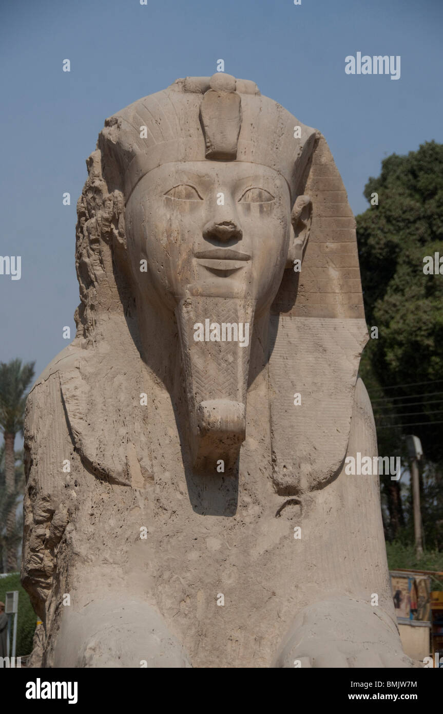 Egypt, Memphis (aka Menufer). Alabaster sphinx of Amenophis II Stock