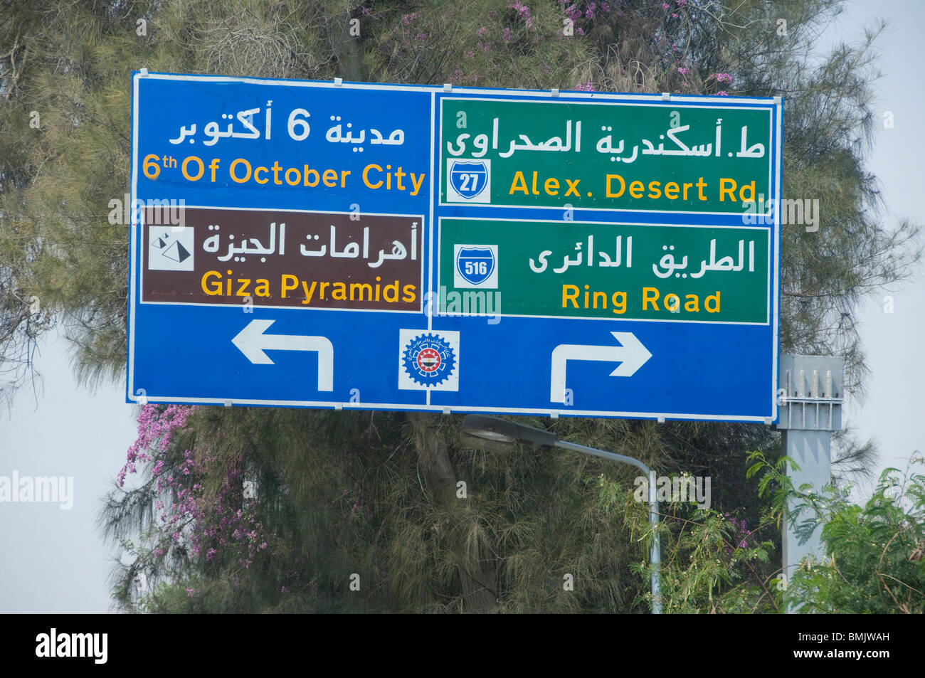 egypt-cairo-everyday-life-in-downtown-cairo-road-signs-on-the-popular-BMJWAH.jpg