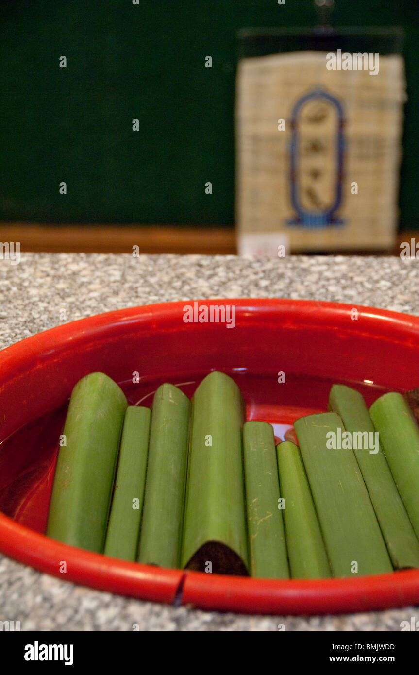 Egypt, Cairo. Traditional papyrus papyrus plant that is made