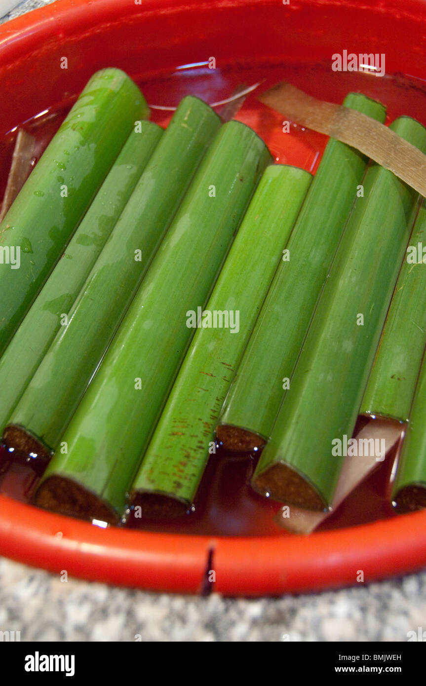 Egypt, Cairo. Traditional papyrus papyrus plant that is made