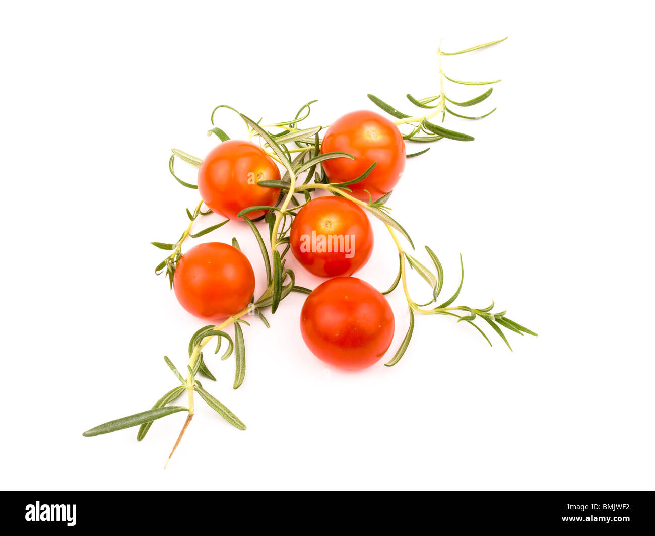 Cherry tomatoes and fresh rosemary on white background Stock Photo - Alamy